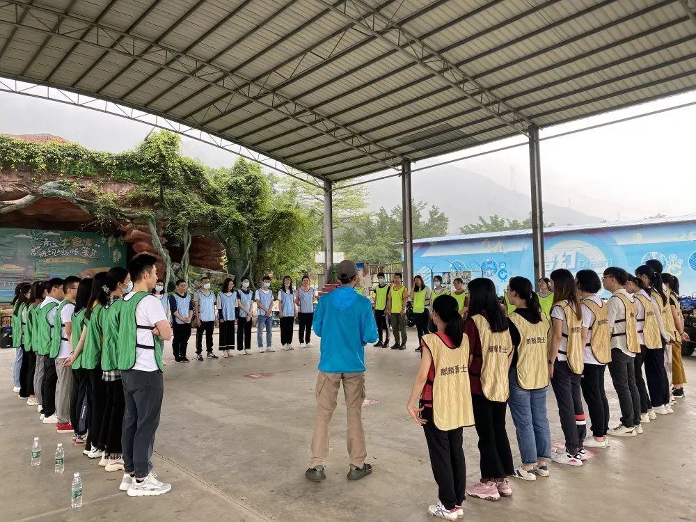 1629772575247989.jpg 56d32309d587a24d9f4567d974568f16.jpg